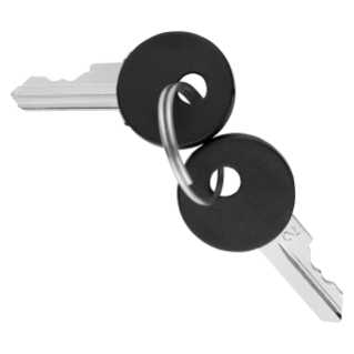 SET OF 2 KEYS FOR COMMAND DEVICES - PUSH-BUTTONS