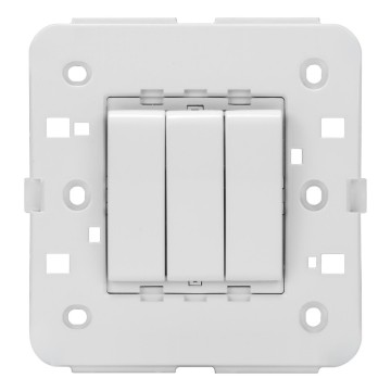 BS - 1P One-way switches - 250 V ac
